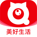 成人猫咪app